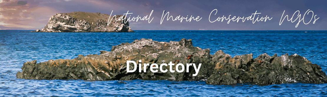 National Marine Conservation NGOs: UK Conservation Network of Leading Organizations