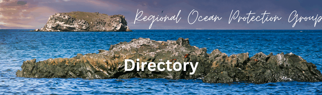 Regional Ocean Protection Groups: UK Conservation Network of Local Marine Advocates